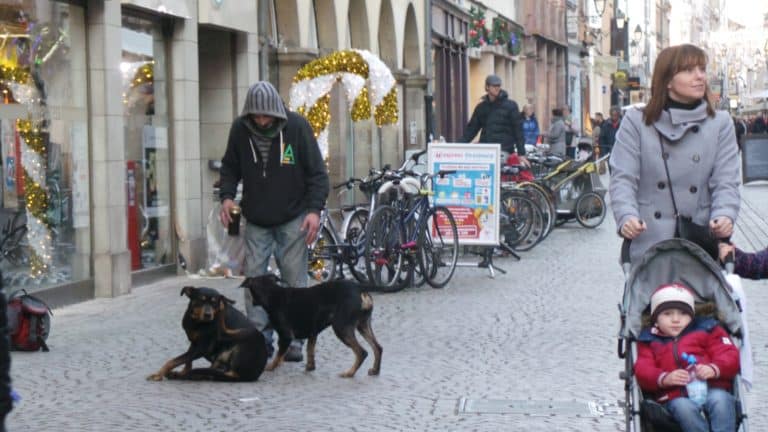Strasbourg : un modèle de propreté
