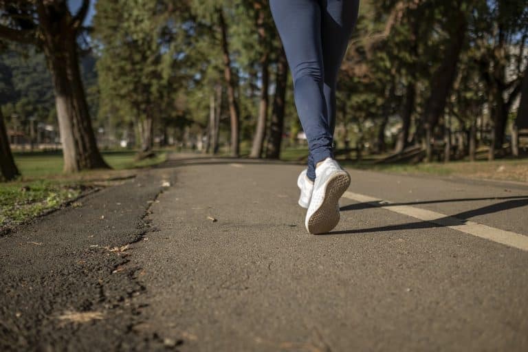 Itinéraires pour profiter d’une promenade paisible à Strasbourg