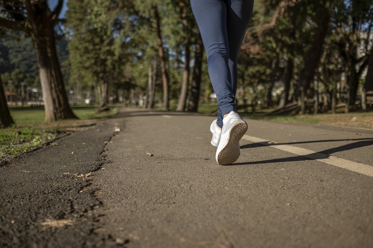 Itinéraires pour profiter d’une promenade paisible à Strasbourg