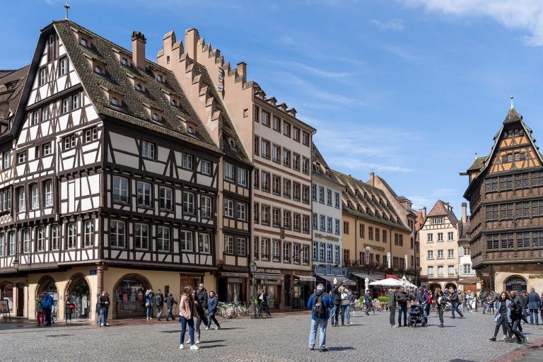 Prolifération des punaises de lit à Strasbourg : mise en place d&rsquo;une mission d&rsquo;information et d&rsquo;évaluation
