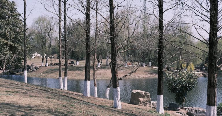 Que découvrir au parc de l&rsquo;Orangerie à Strasbourg ?