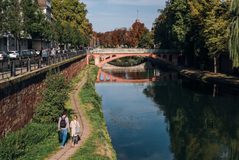 Strasbourg et la biodiversité : quelle est l&rsquo;importance de la préservation de la nature dans cette ville ?