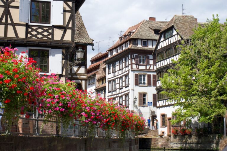 Strasbourg : où trouver des ateliers d&rsquo;art floral ?