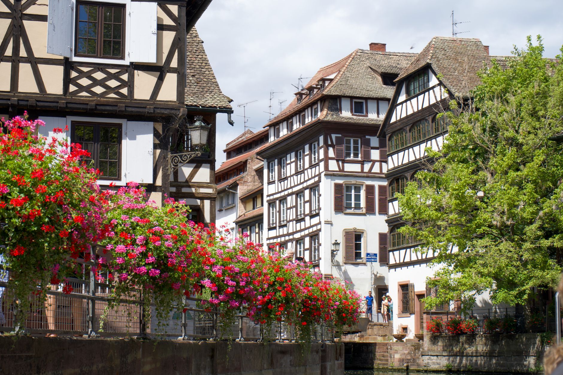 Strasbourg : où trouver des ateliers d&rsquo;art floral ?