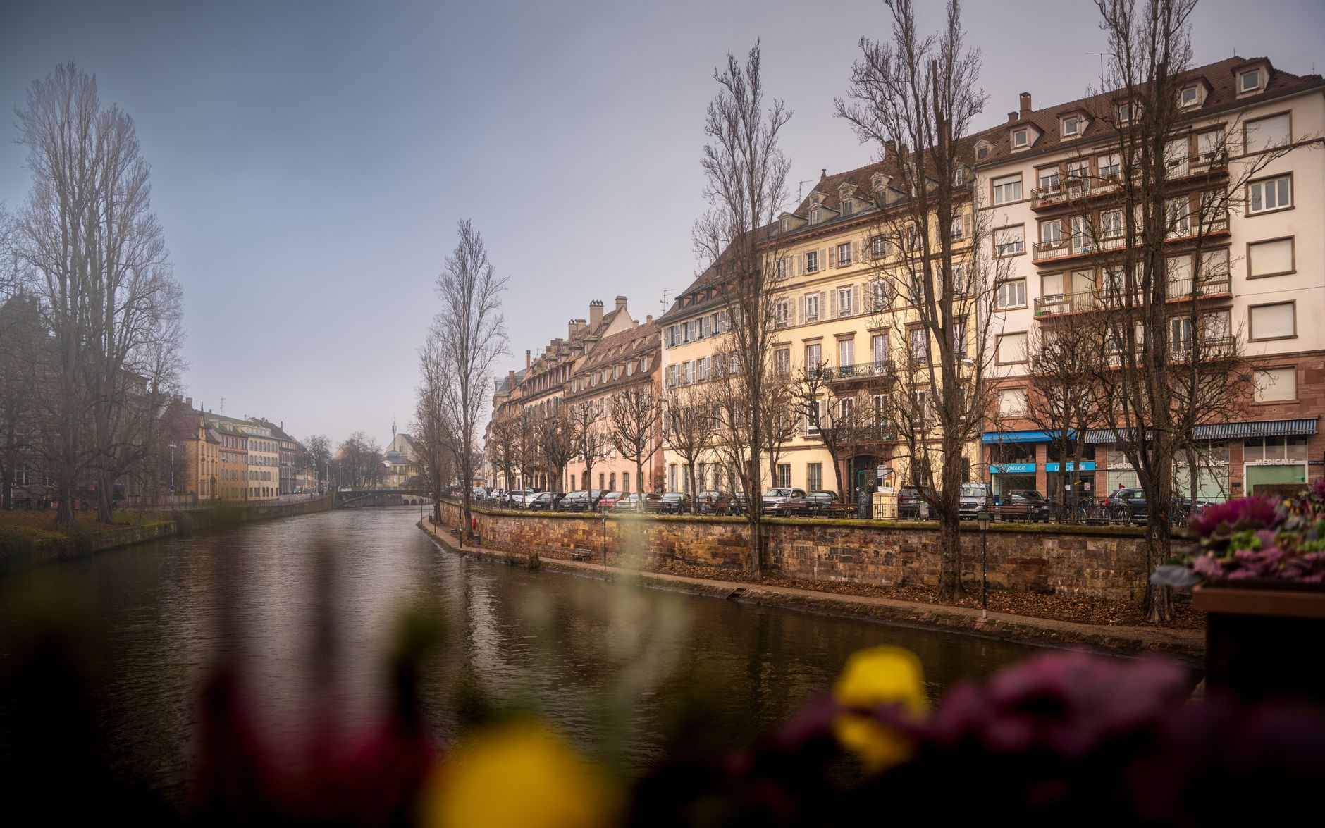 Strasbourg : une ville propice aux promenades littéraires ?